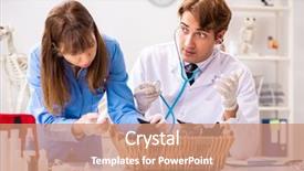  Presentation with personal assistant to director - Presentation theme consisting of doctor and assistant in vet background and a  colored foreground