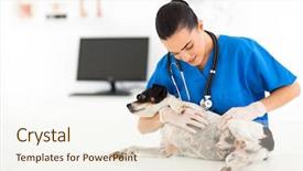  Presentation with skin doctor - Slide set consisting of doctor checking pet dog skin background and a sky blue colored foreground