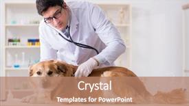  Presentation with metabolic doctor examining - PPT layouts enhanced with doctor examining golden retriever dog background and a coral colored foreground