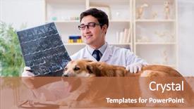  Presentation with golden - Slide deck with doctor examining golden retriever dog background and a coral colored foreground