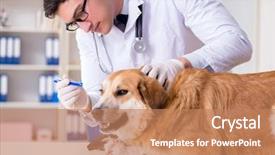  Presentation with metabolic doctor examining - Cool new PPT layouts with doctor examining golden retriever dog backdrop and a  colored foreground