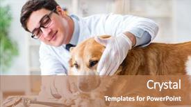  Presentation with doctor examining a newborn baby - Slide deck featuring doctor examining golden retriever dog background and a coral colored foreground