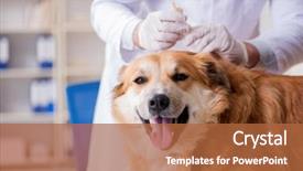  Presentation with metabolic syndrome doctor examining - Amazing PPT theme having doctor examining golden retriever dog backdrop and a red colored foreground