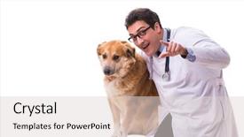  Presentation with metabolic syndrome doctor examining - Beautiful presentation design featuring doctor examining golden retriever dog backdrop and a  colored foreground