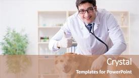  Presentation with sick dog - Presentation design enhanced with doctor examining golden retriever dog background and a  colored foreground