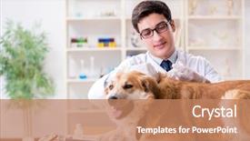  Presentation with doctor examining a newborn baby - Presentation theme with doctor examining golden retriever dog background and a coral colored foreground