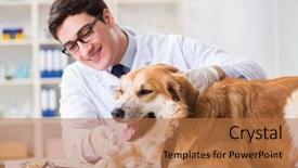  Presentation with metabolic syndrome doctor examining - Colorful slides enhanced with doctor examining golden retriever dog backdrop and a coral colored foreground