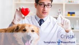  Presentation with vet - Slide set with doctor-examining-golden-retriever-dog background and a sky blue colored foreground