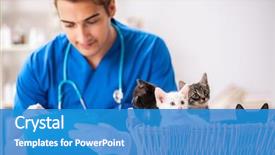  Presentation with vet - Audience pleasing slide deck consisting of doctor examining kittens in animal backdrop and a teal colored foreground