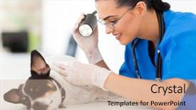  Presentation with skin doctor - Audience pleasing slides consisting of doctor examining pet dog skin backdrop and a lemonade colored foreground