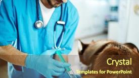  Presentation with sick dog - PPT theme having doctor healing sick dog in vet clinic background and a tawny brown colored foreground