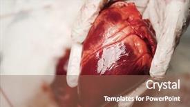  Presentation with human heart - PPT theme consisting of doctor holding heart closeup background and a violet colored foreground