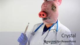  Presentation with mexican cooking - Cool new presentation theme with world health organization - doctor in a pig mask backdrop and a light gray colored foreground