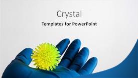  Presentation with virus - Slide set with doctor-in-blue-gloves background and a white colored foreground