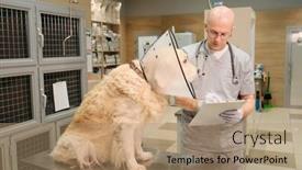  Presentation with examination - PPT layouts having doctor-in-uniform-making-notes background and a coral colored foreground