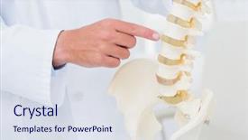  Presentation with spine - Audience pleasing PPT theme consisting of doctor pointing at anatomical spine backdrop and a sky blue colored foreground
