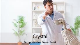  Presentation with dog adolescents - Cool new slide set with doctor vet practicing on dog backdrop and a  colored foreground