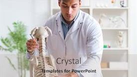  Presentation with vet - Audience pleasing PPT layouts consisting of doctor vet practicing on dog skeleton backdrop and a coral colored foreground