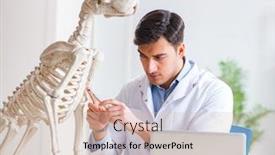  Presentation with dog cruelty - Colorful PPT theme enhanced with vet practicing on dog skeleton backdrop and a soft green colored foreground