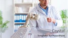  Presentation with vet - Amazing slide set having doctor vet practicing on dog skeleton backdrop and a lemonade colored foreground
