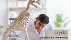  Presentation with dog training class - Presentation theme with doctor-vet-practicing-on-dog background and a light gray colored foreground