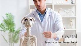  Presentation with vet - Colorful PPT theme enhanced with doctor-vet-practicing-on-dog backdrop and a soft green colored foreground