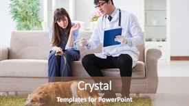  Presentation with vet - Beautiful PPT theme featuring doctor visiting golden retriever dog backdrop and a  colored foreground