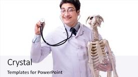  Presentation with skeleton - Audience pleasing PPT theme consisting of doctor with dog skeleton isolated backdrop and a  colored foreground