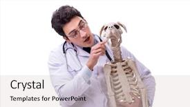  Presentation with octopus on isolated white - Cool new slides with doctor with dog skeleton isolated backdrop and a  colored foreground