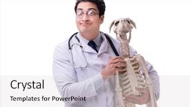  Presentation with skeleton - Colorful theme enhanced with doctor with dog skeleton isolated backdrop and a  colored foreground