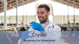  Presentation with animal agriculture - Theme consisting of doctor with syringe vaccinating cow background and a light blue colored foreground