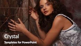  Presentation with drama - Beautiful PPT theme featuring dodge - fashion curly model sitting backdrop and a tawny brown colored foreground