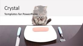  Presentation with hello kitty cute little kitten - Audience pleasing presentation theme consisting of dodgers - cute kitten with delicious sausage backdrop and a  colored foreground