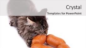  Presentation with hello kitty cute little kitten - Cool new presentation theme with dodgers - cute kitten with delicious sausages backdrop and a  colored foreground