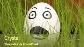  Presentation with green gold and white - PPT theme consisting of dodgers - white egg with funny face background and a  colored foreground