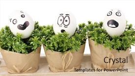  Presentation with white green - Beautiful PPT theme featuring dodgers - white eggs with funny faces backdrop and a  colored foreground