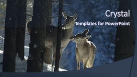  Presentation with deer - Presentation theme with doe-with-young-deer background and a tawny brown colored foreground