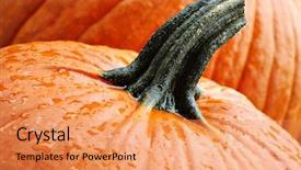  Presentation with rain water - Colorful PPT theme enhanced with dof selective focus on water backdrop and a coral colored foreground