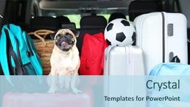  Presentation with luggage - Colorful slide deck enhanced with dog - car trunk with cute pug backdrop and a sky blue colored foreground