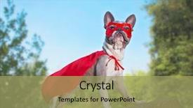  Presentation with super hero - PPT layouts with dog - cute french bulldog background and a mint green colored foreground