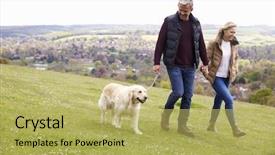  Presentation with walk - Audience pleasing slides consisting of dog - mature couple taking golden retriever backdrop and a yellow colored foreground