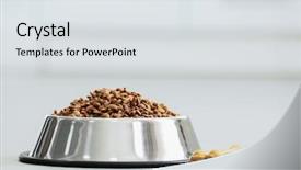  Presentation with dog food - Colorful PPT layouts enhanced with dog - pet food in a metal backdrop and a light gray colored foreground