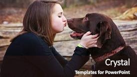  Presentation with dog park - Colorful presentation enhanced with dog a chocolate lab backdrop and a wine colored foreground