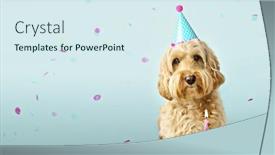  Presentation with cake dog - Amazing slide deck having dog-and-birthday-cake backdrop and a sky blue colored foreground