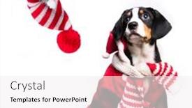  Presentation with dog cat - PPT layouts with dog-and-cat-and-kitens background and a white colored foreground