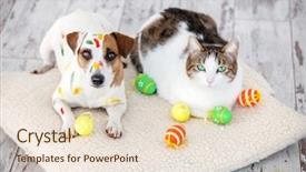  Presentation with cat dog - Beautiful presentation theme featuring dog and cat with easter backdrop and a lemonade colored foreground
