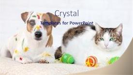  Presentation with cat dog - Presentation design consisting of dog-and-cat-with-easter background and a sky blue colored foreground