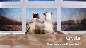  Presentation with pets - Audience pleasing presentation design consisting of dog and cat backdrop and a coral colored foreground