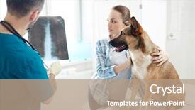  Presentation with pet - PPT theme consisting of dog and her pet background and a coral colored foreground