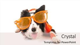  Presentation with dutch - Presentation design featuring dog as dutch soccer fan background and a lemonade colored foreground